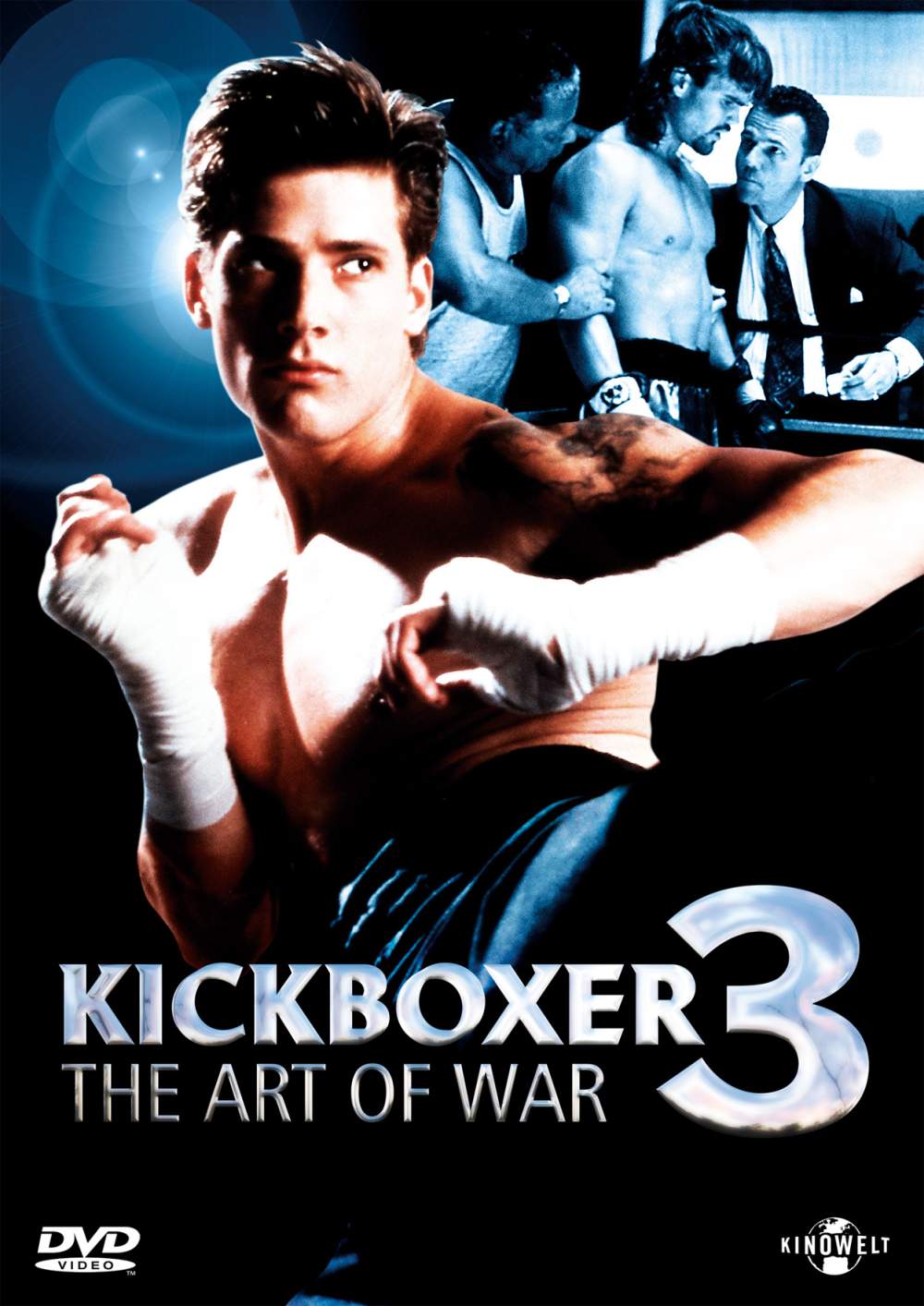 Kickboxer3 