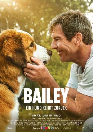 Bailey - Ein Hund kehrt zurck - Plakat/Cover